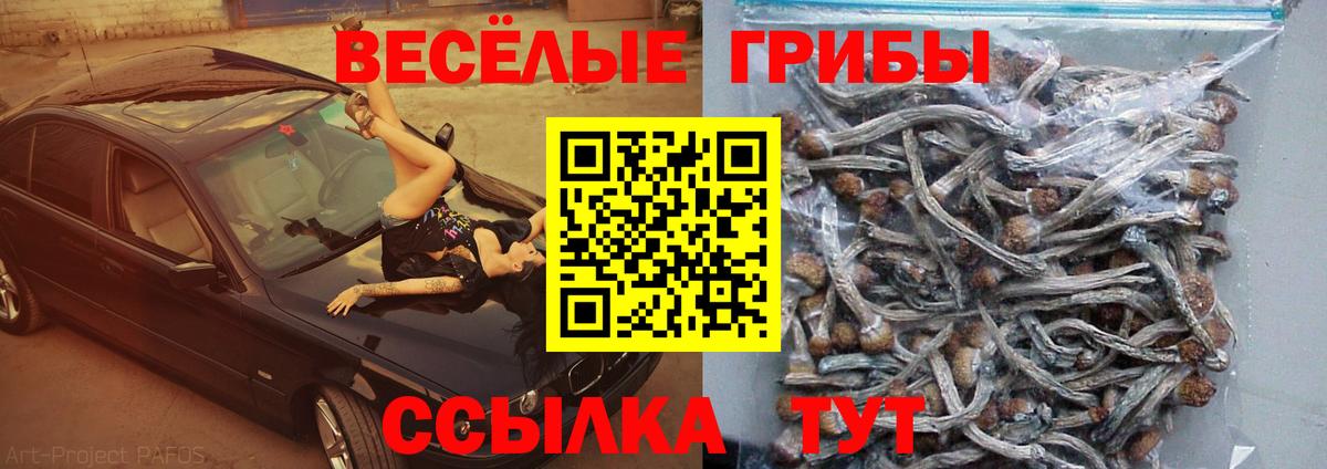 Псилоцибиновые грибы MAGIC MUSHROOMS  Вход с VPN  Магадан 